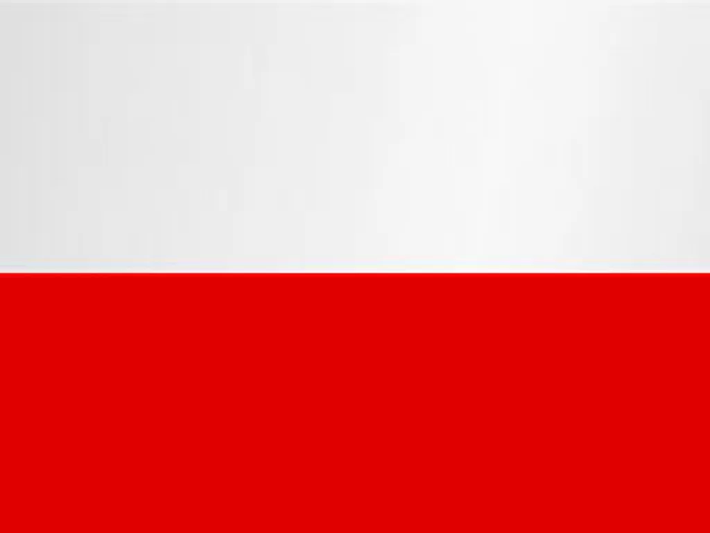 Polonya Nakliye